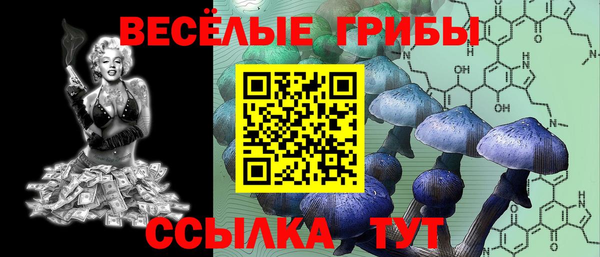 Северобайкальск  Псилоцибиновые грибы GOLDEN TEACHER  Галлюциногенные грибы Psilocybine cubensis  где купить наркоту  Вход с VPN 